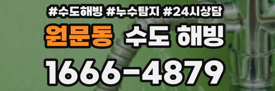 원문동 수도 해빙