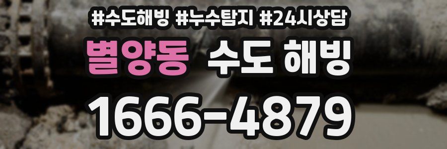 별양동 수도 해빙