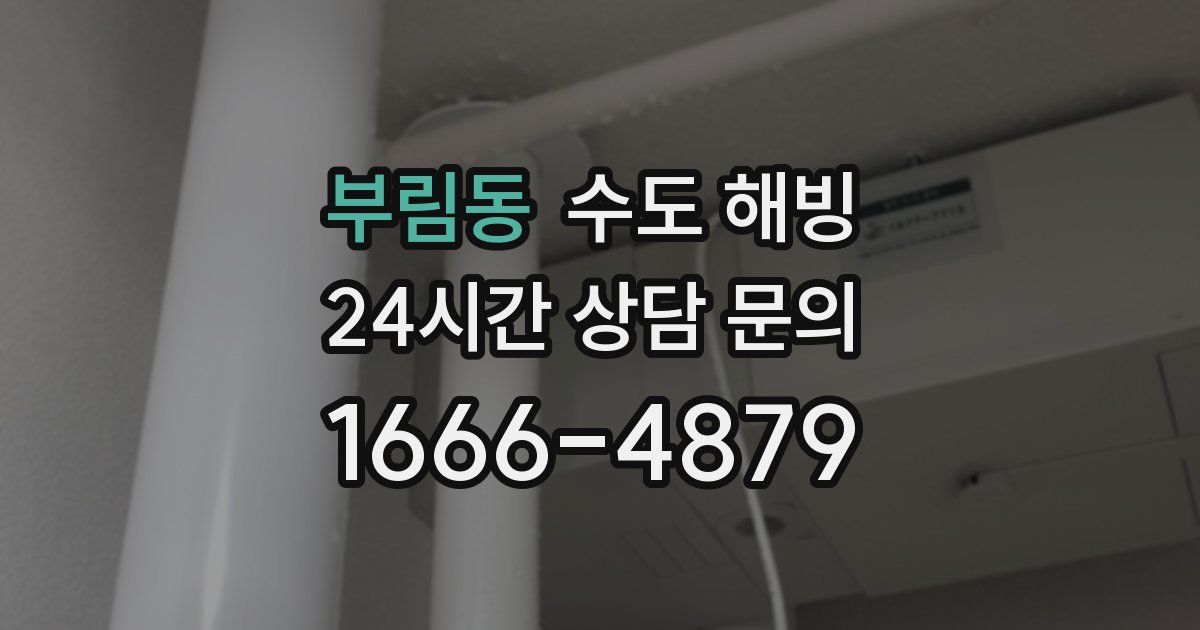 부림동 수도 해빙