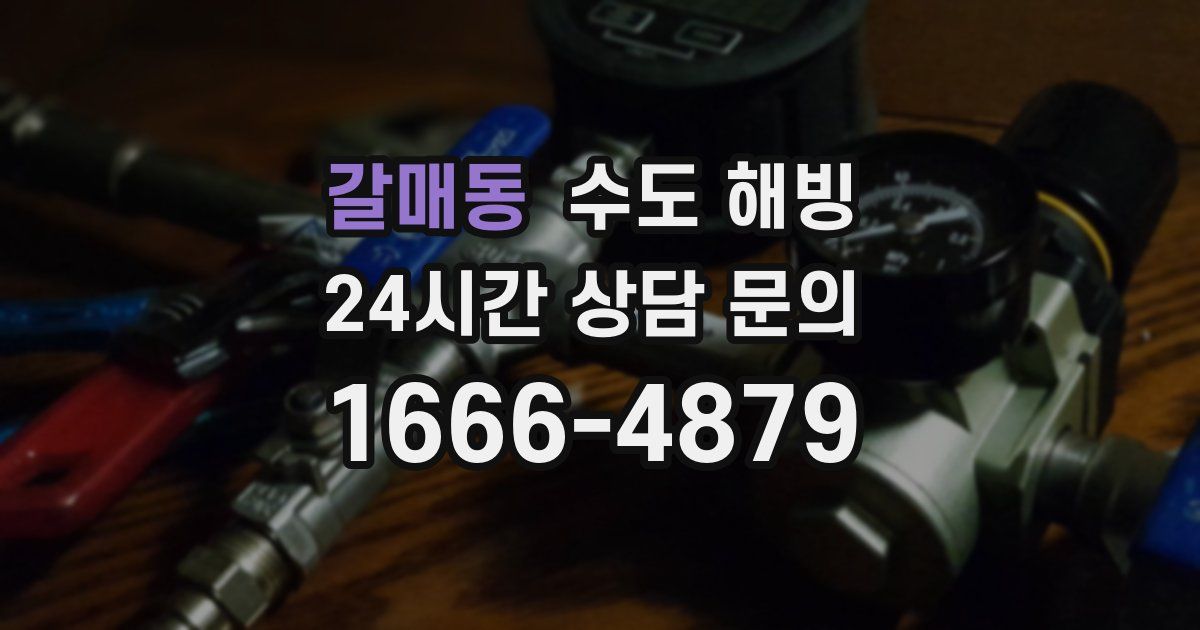 갈매동 수도 해빙