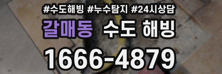 갈매동 수도 해빙