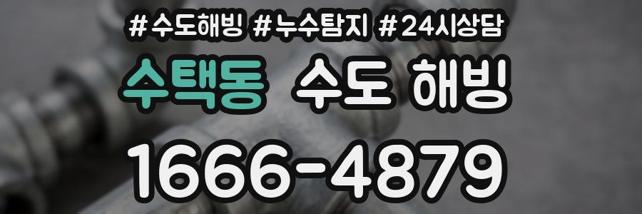 수택동 수도 해빙