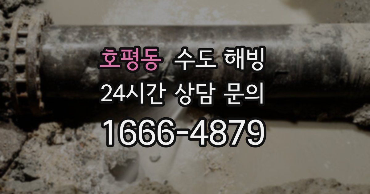 호평동 수도 해빙