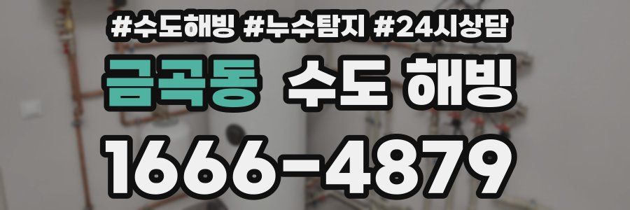 금곡동 수도 해빙