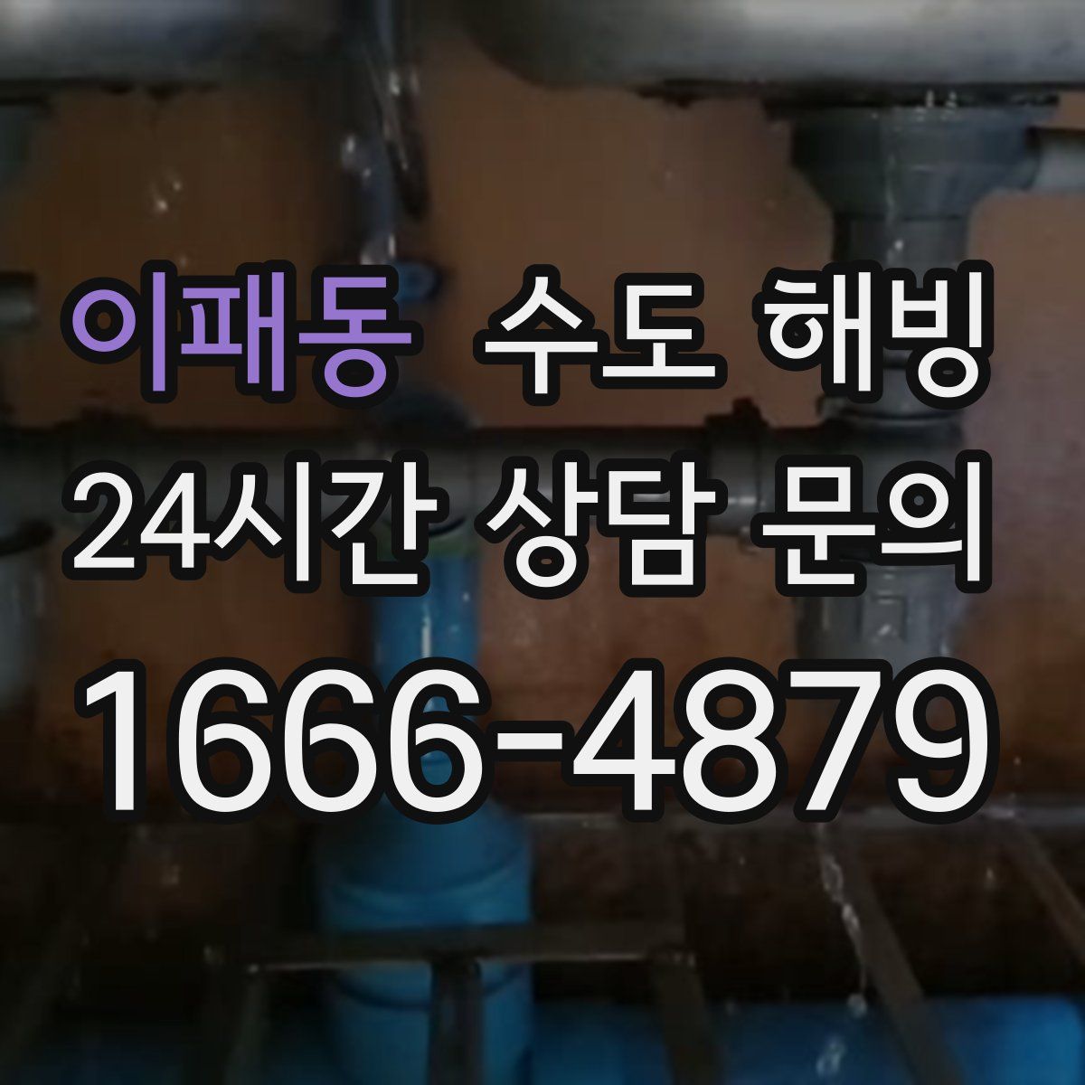 이패동 수도 해빙