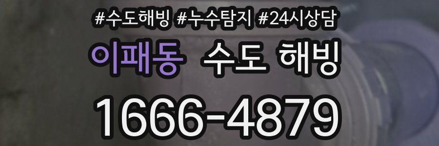 이패동 수도 해빙