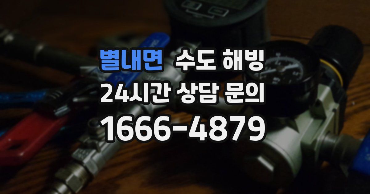 별내면 수도 해빙