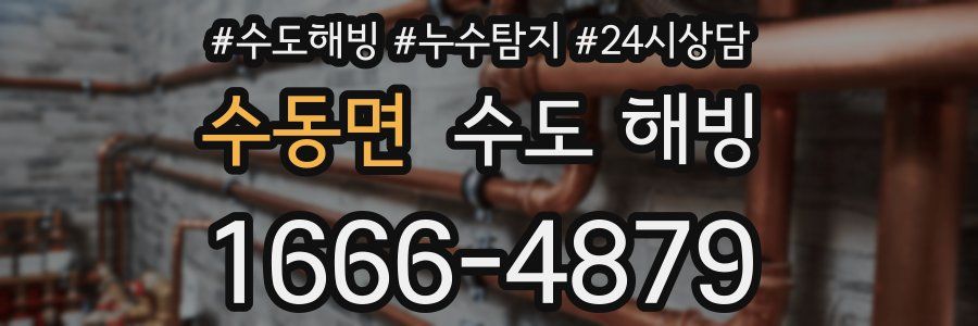 수동면 수도 해빙