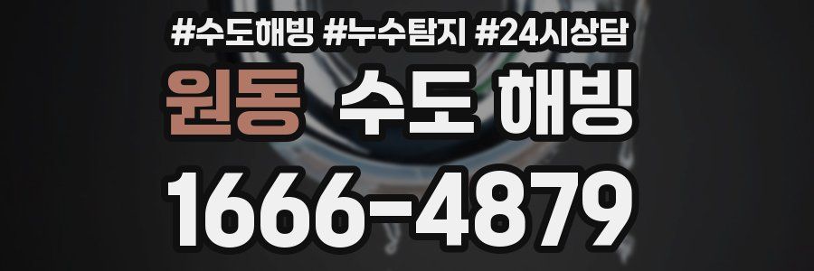 원동 수도 해빙