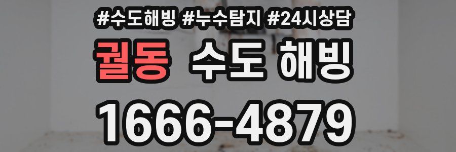 궐동 수도 해빙