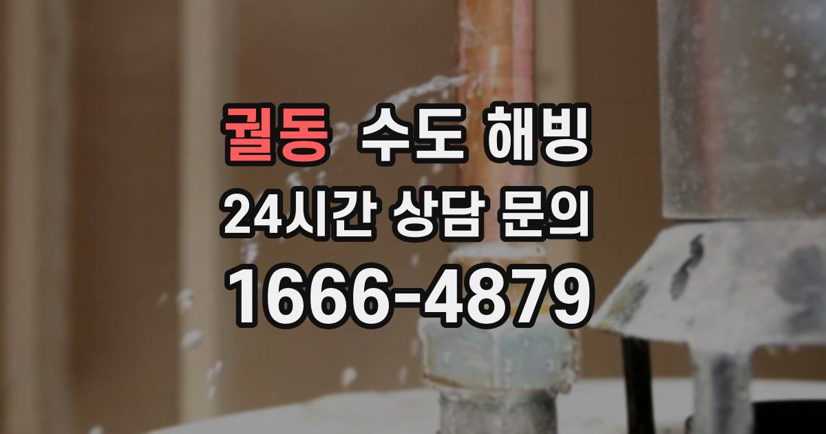 궐동 수도 해빙