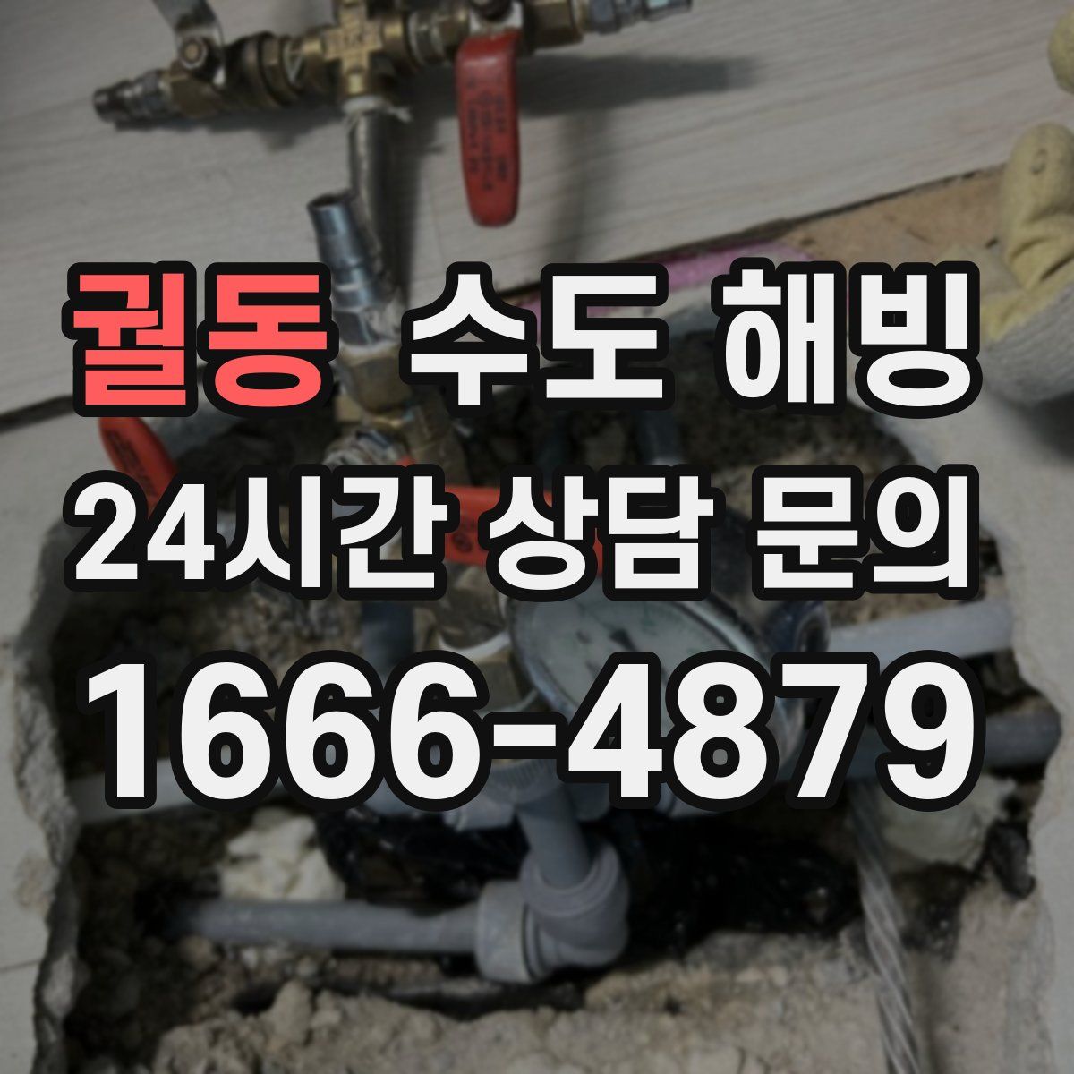 궐동 수도 해빙