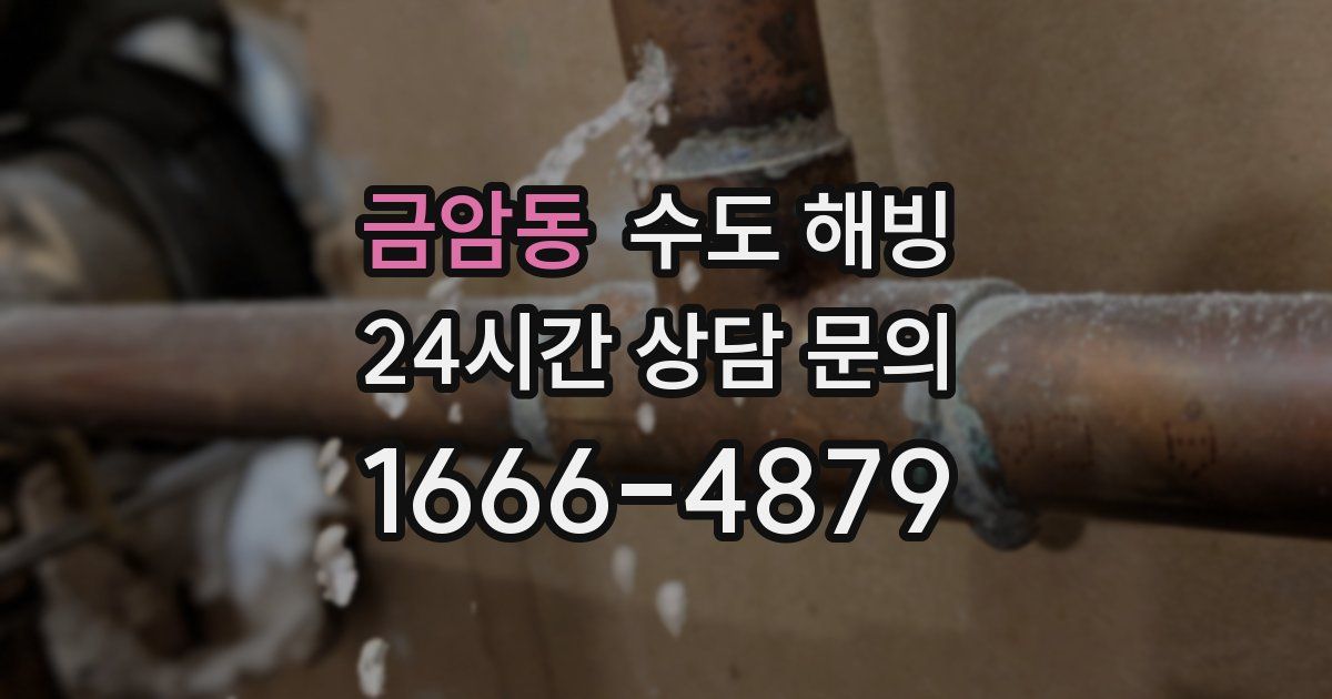 금암동 수도 해빙