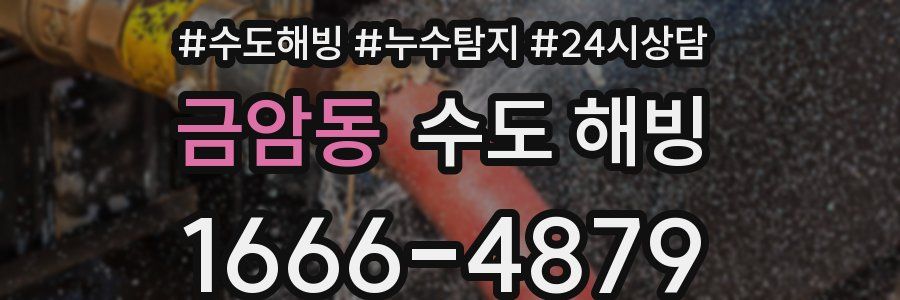 금암동 수도 해빙