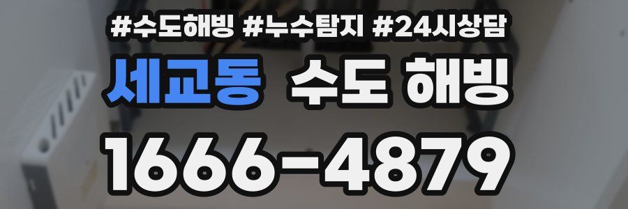 세교동 수도 해빙