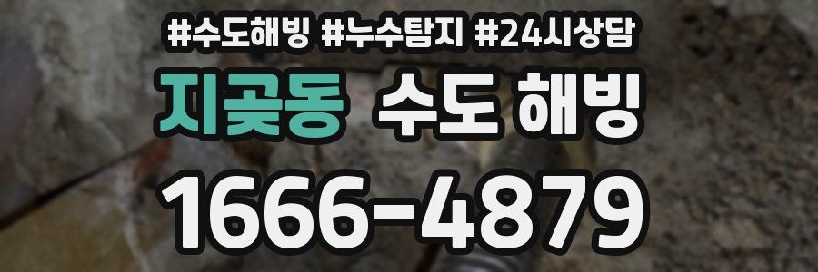 지곶동 수도 해빙