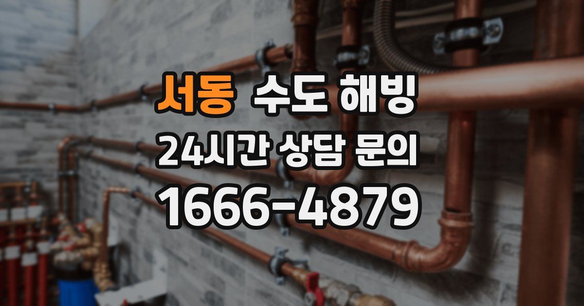 서동 수도 해빙