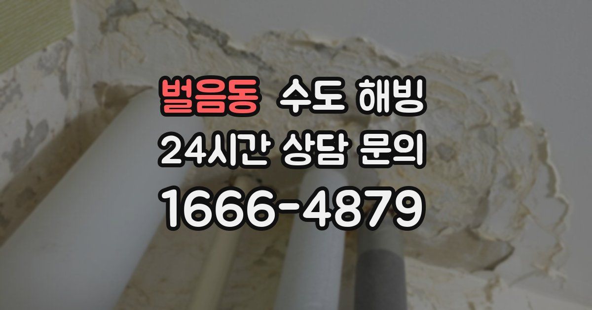 벌음동 수도 해빙