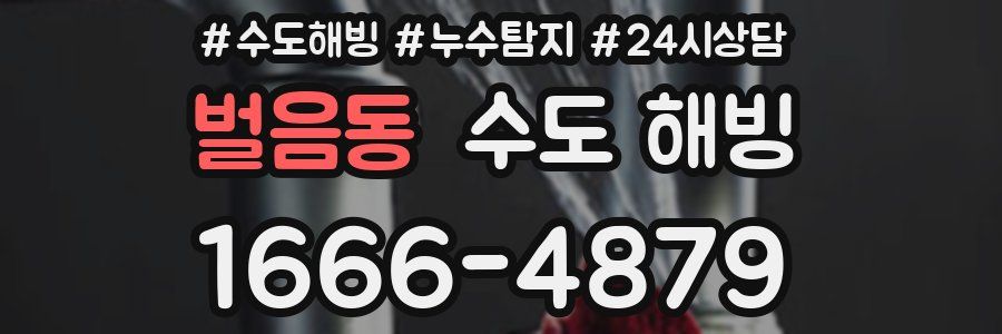 벌음동 수도 해빙