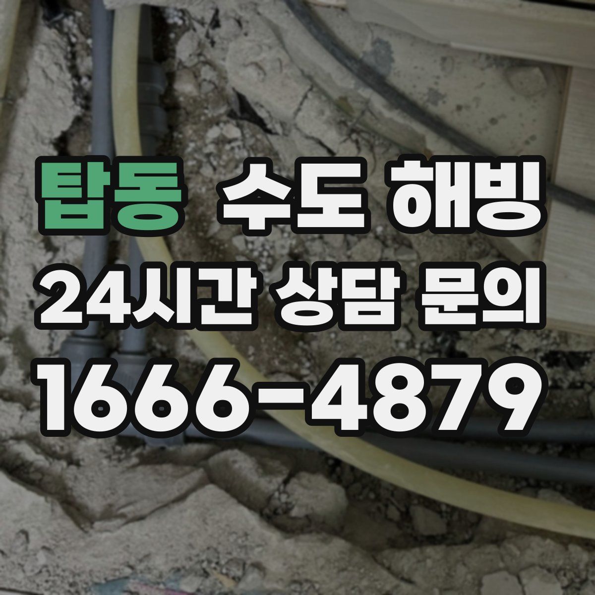 탑동 수도 해빙