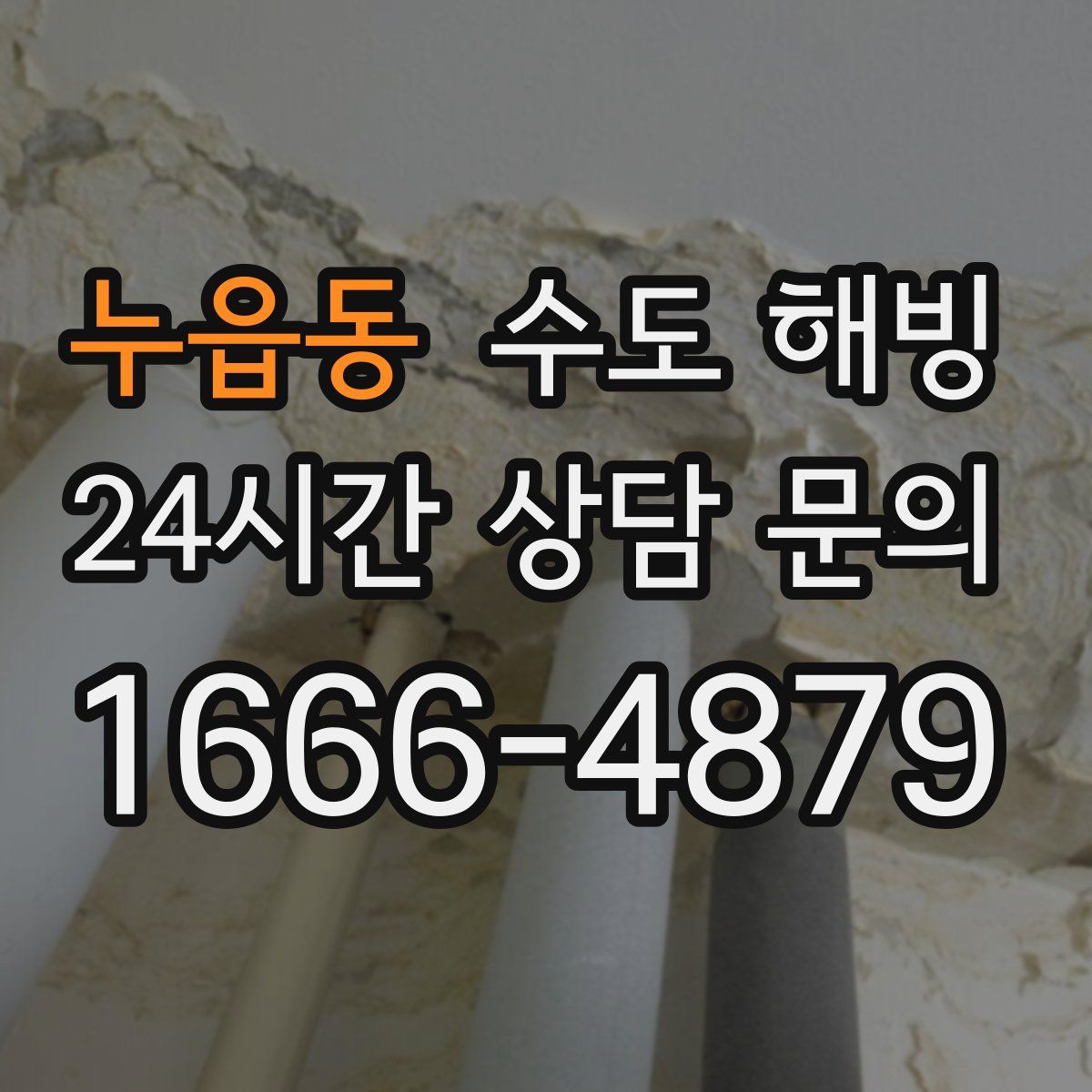 누읍동 수도 해빙