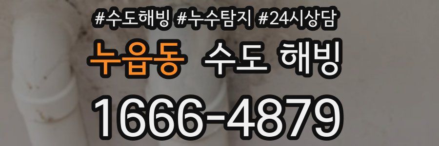 누읍동 수도 해빙
