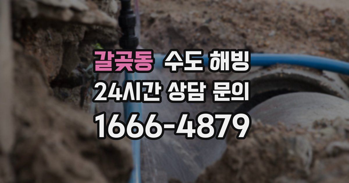 갈곶동 수도 해빙