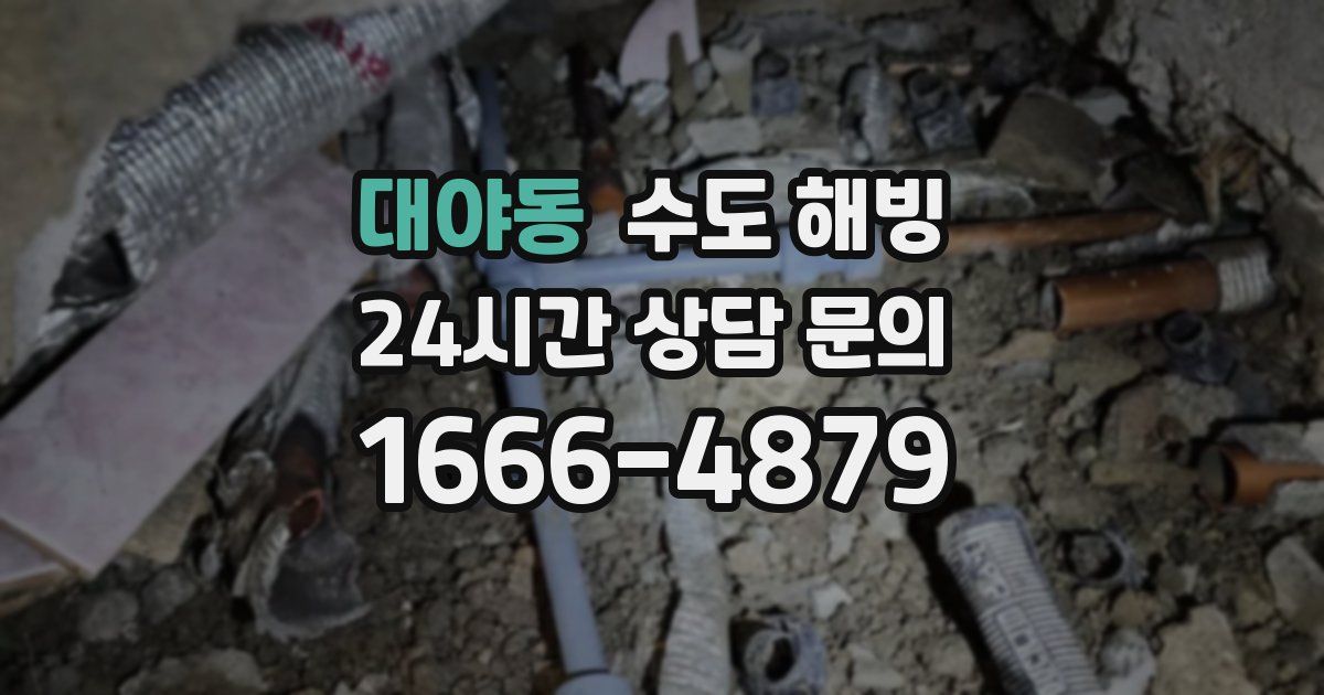 대야동 수도 해빙