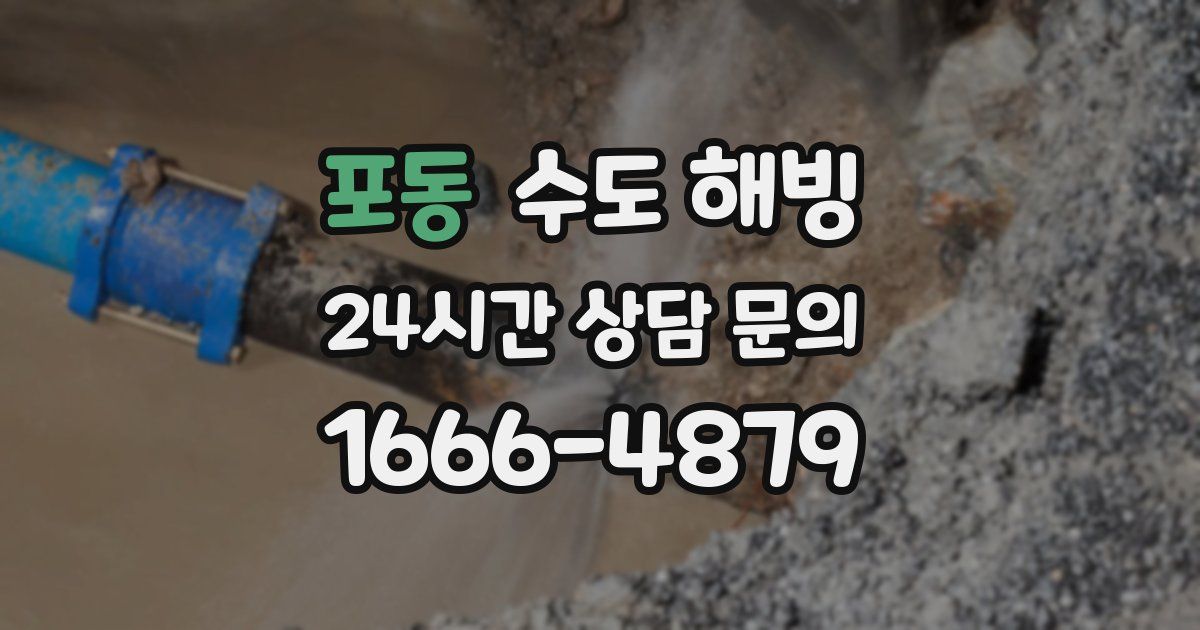 포동 수도 해빙