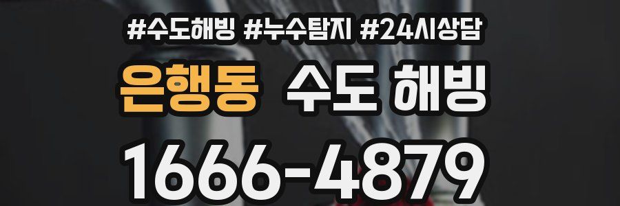 은행동 수도 해빙