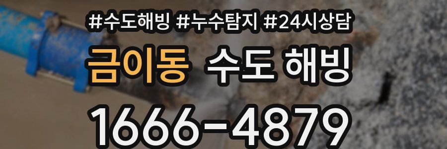 금이동 수도 해빙