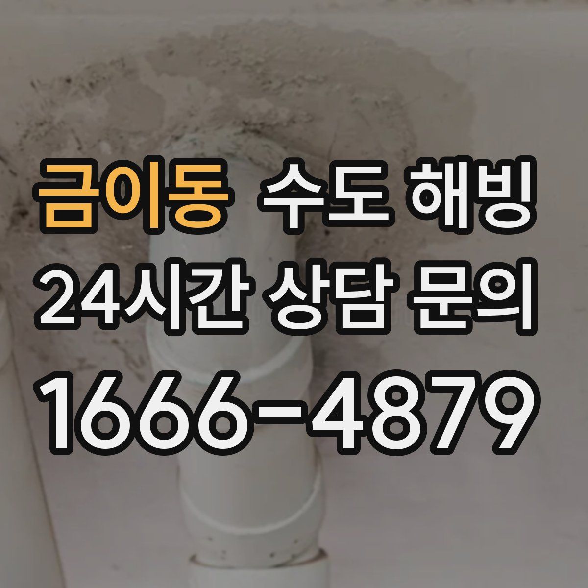 금이동 수도 해빙