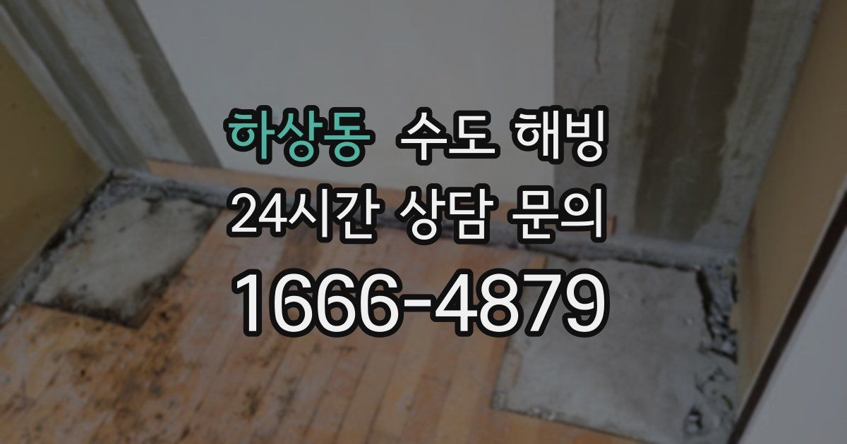 하상동 수도 해빙