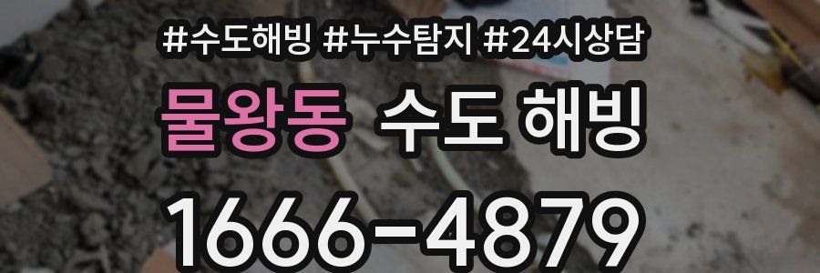 물왕동 수도 해빙