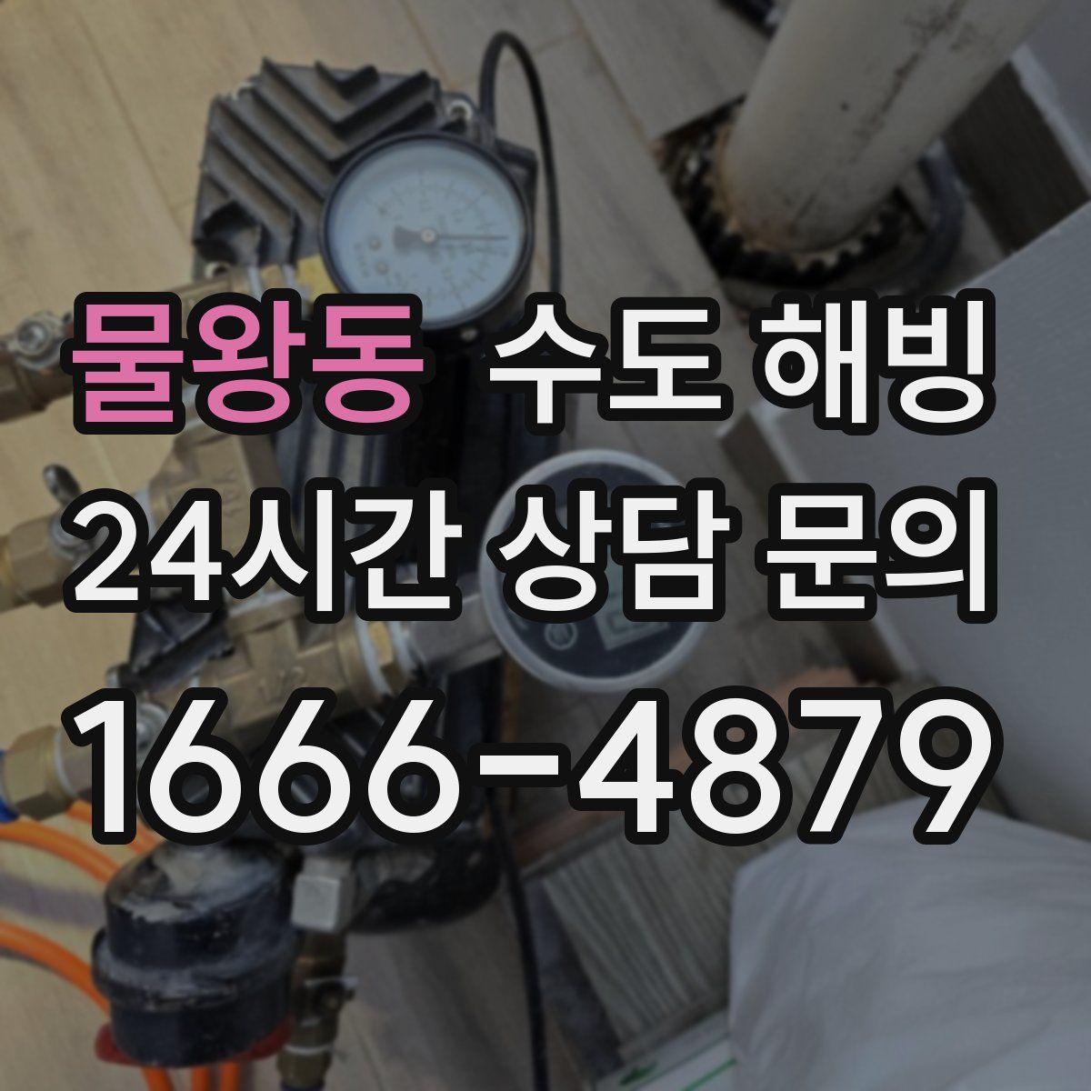 물왕동 수도 해빙