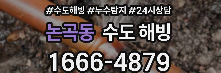 논곡동 수도 해빙