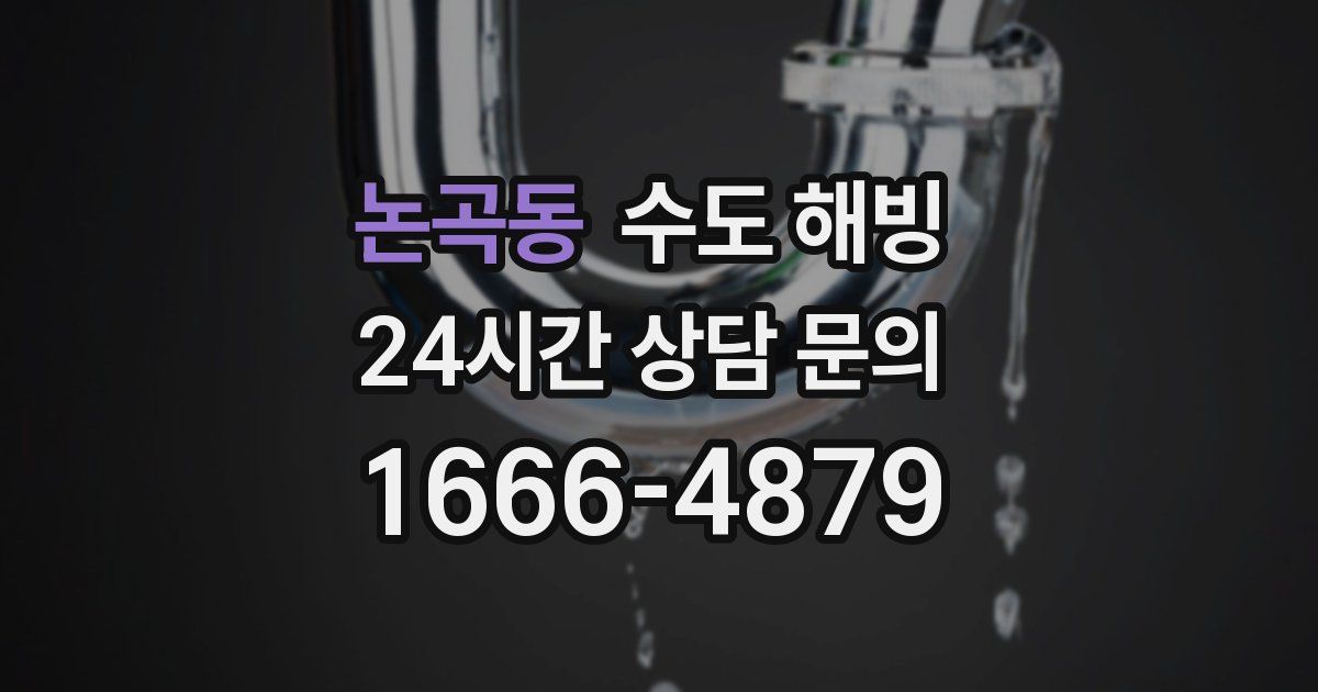 논곡동 수도 해빙