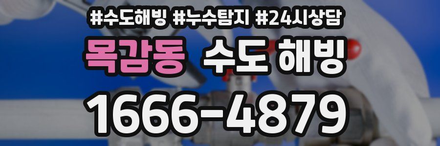 목감동 수도 해빙