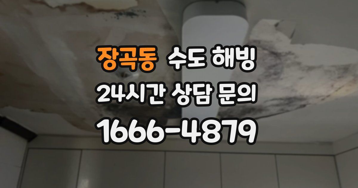 장곡동 수도 해빙