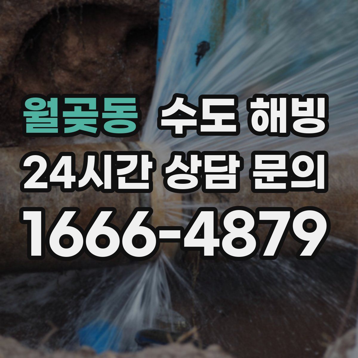 월곶동 수도 해빙