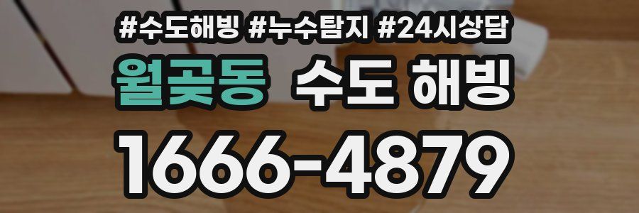 월곶동 수도 해빙