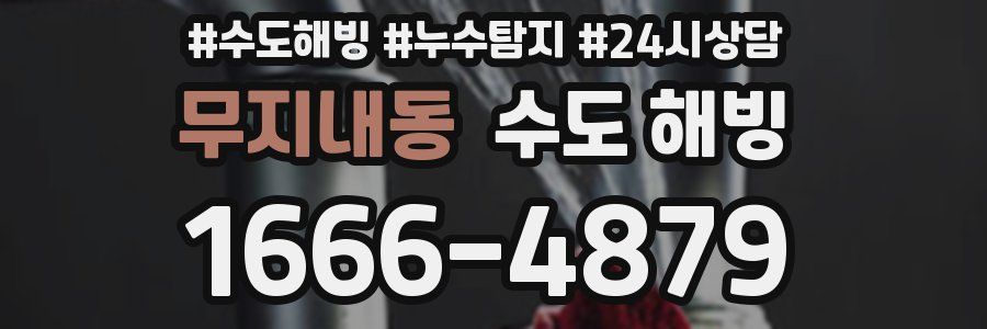 무지내동 수도 해빙