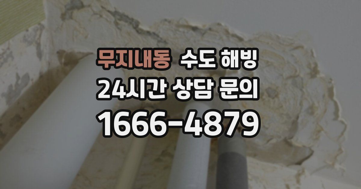 무지내동 수도 해빙