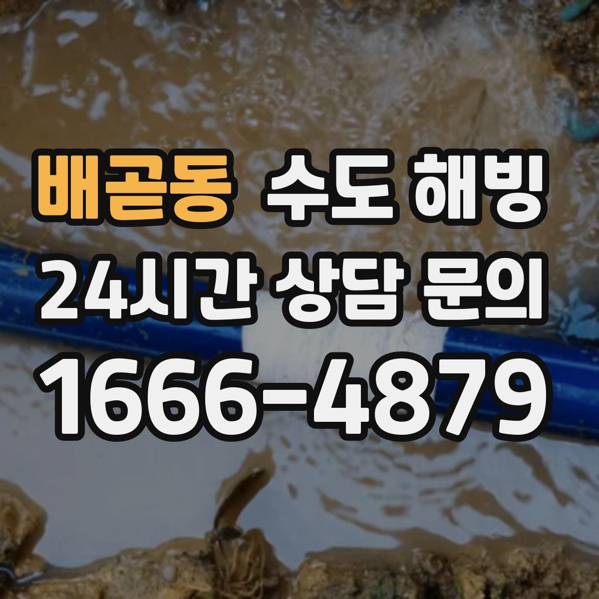 배곧동 수도 해빙