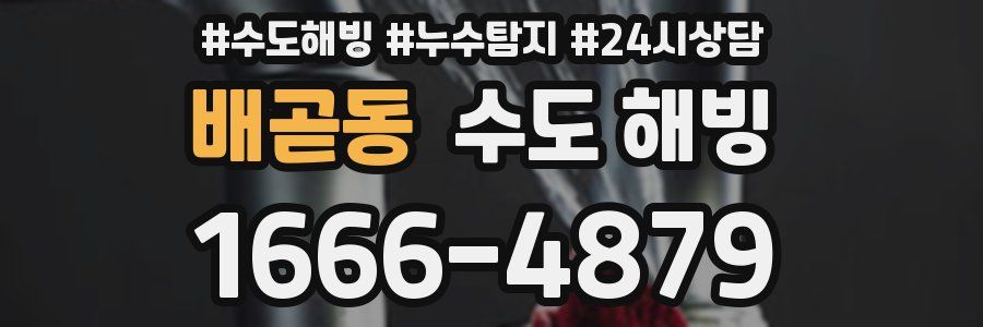 배곧동 수도 해빙