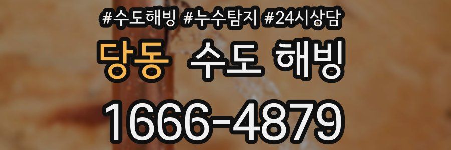 당동 수도 해빙