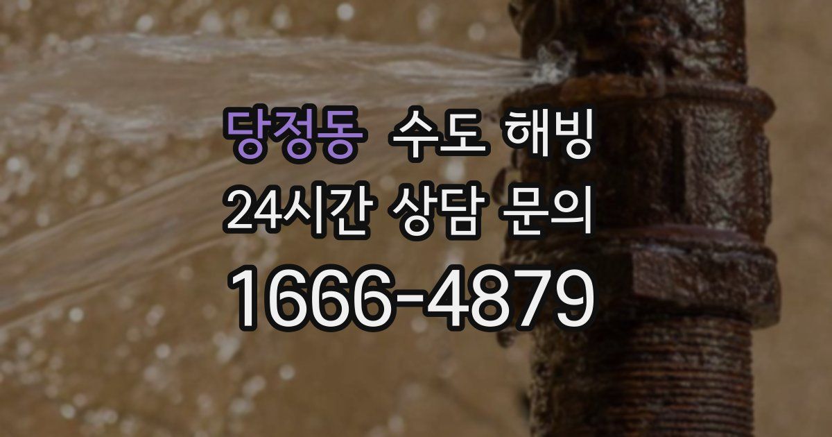 당정동 수도 해빙