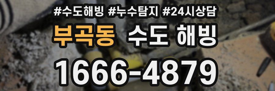 부곡동 수도 해빙