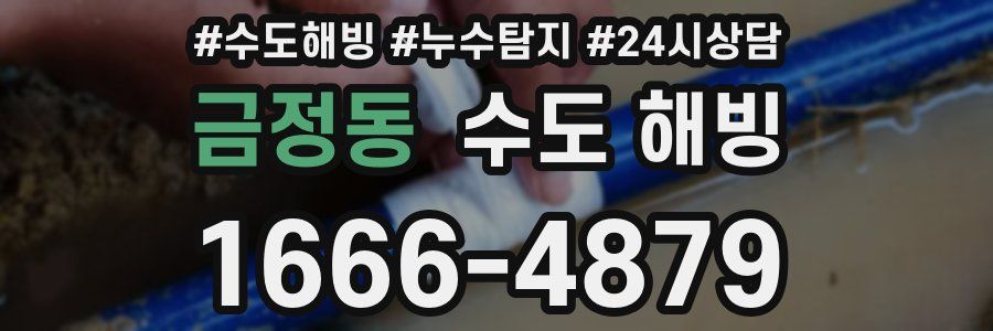 금정동 수도 해빙