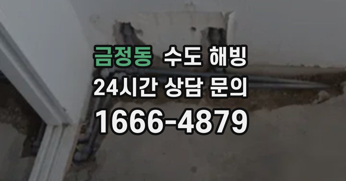 금정동 수도 해빙